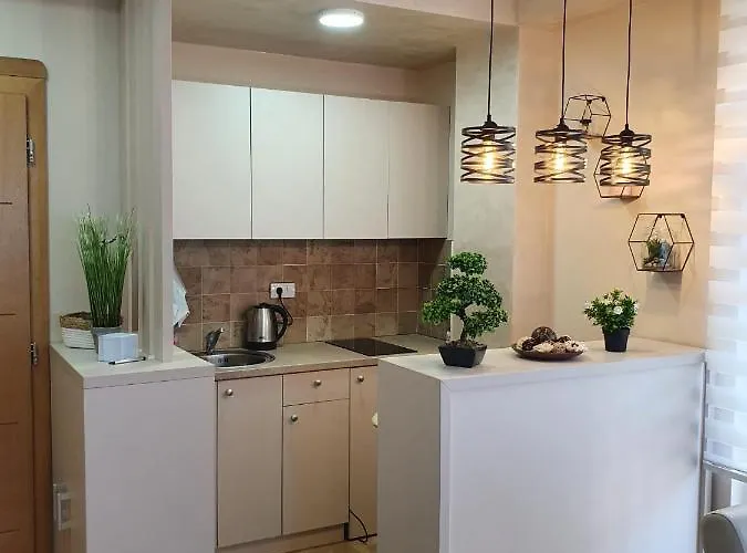 Planinski Mir Lux 公寓 *